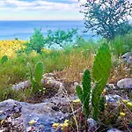 Mediterraneum